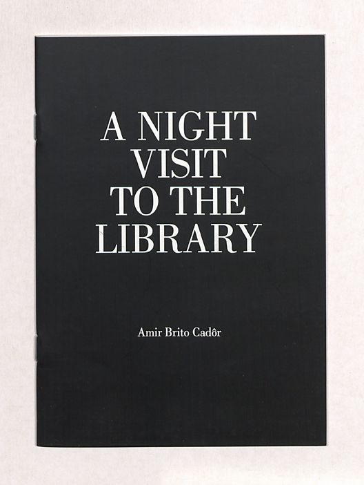 A_night_visit