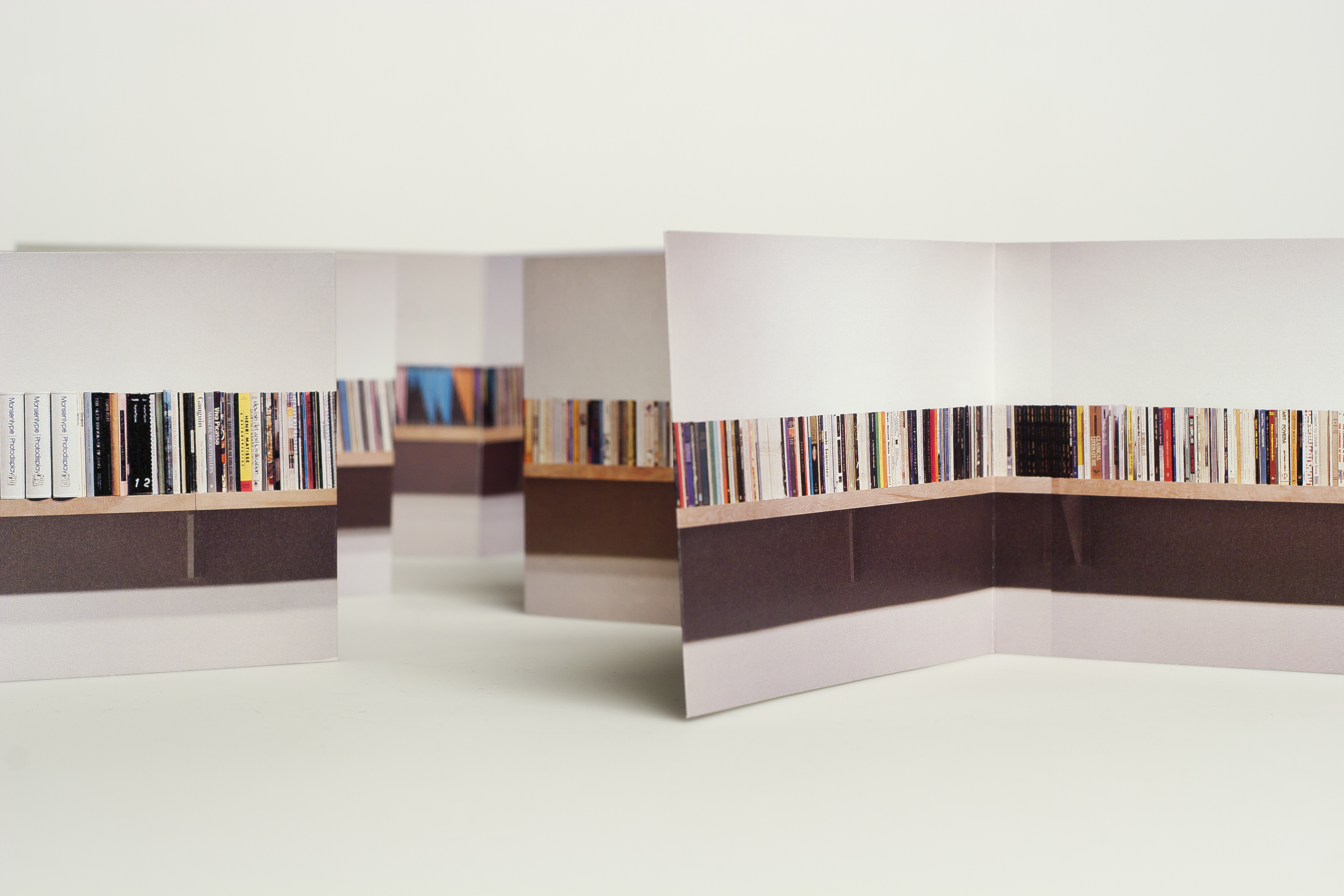spector_Unpacking my Library #2.jpg