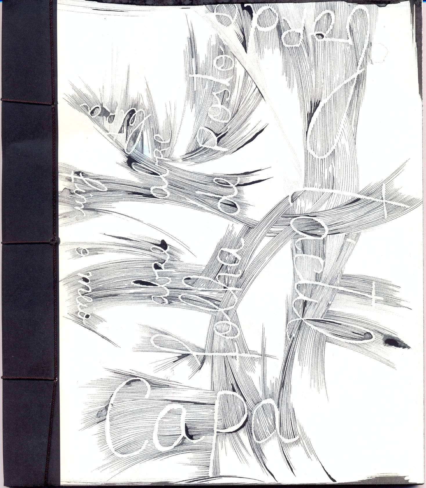 Caderno Português.jpg