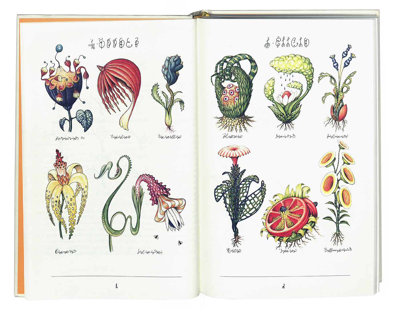 serafini_Image00003_Ok2