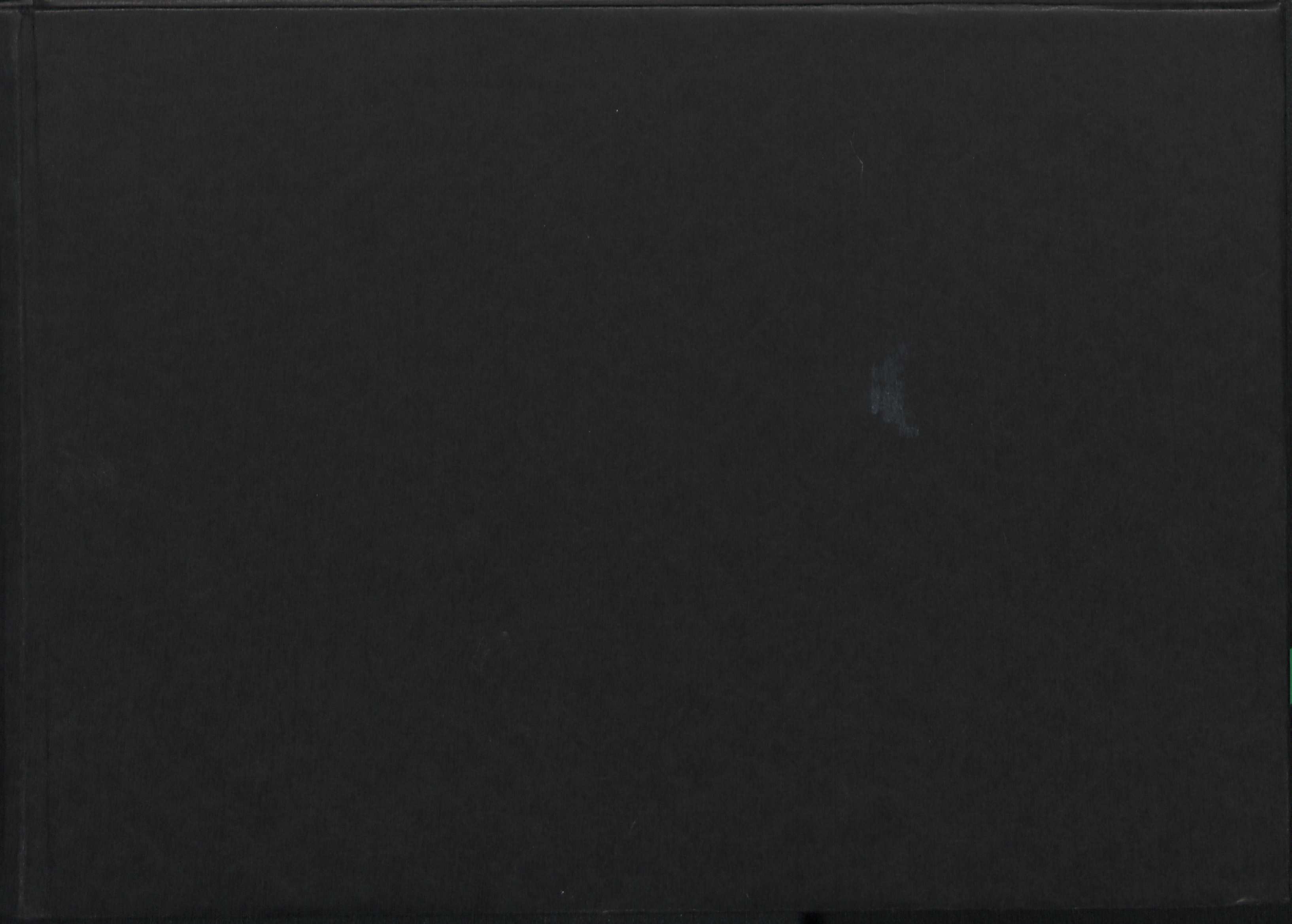 00000198.jpg