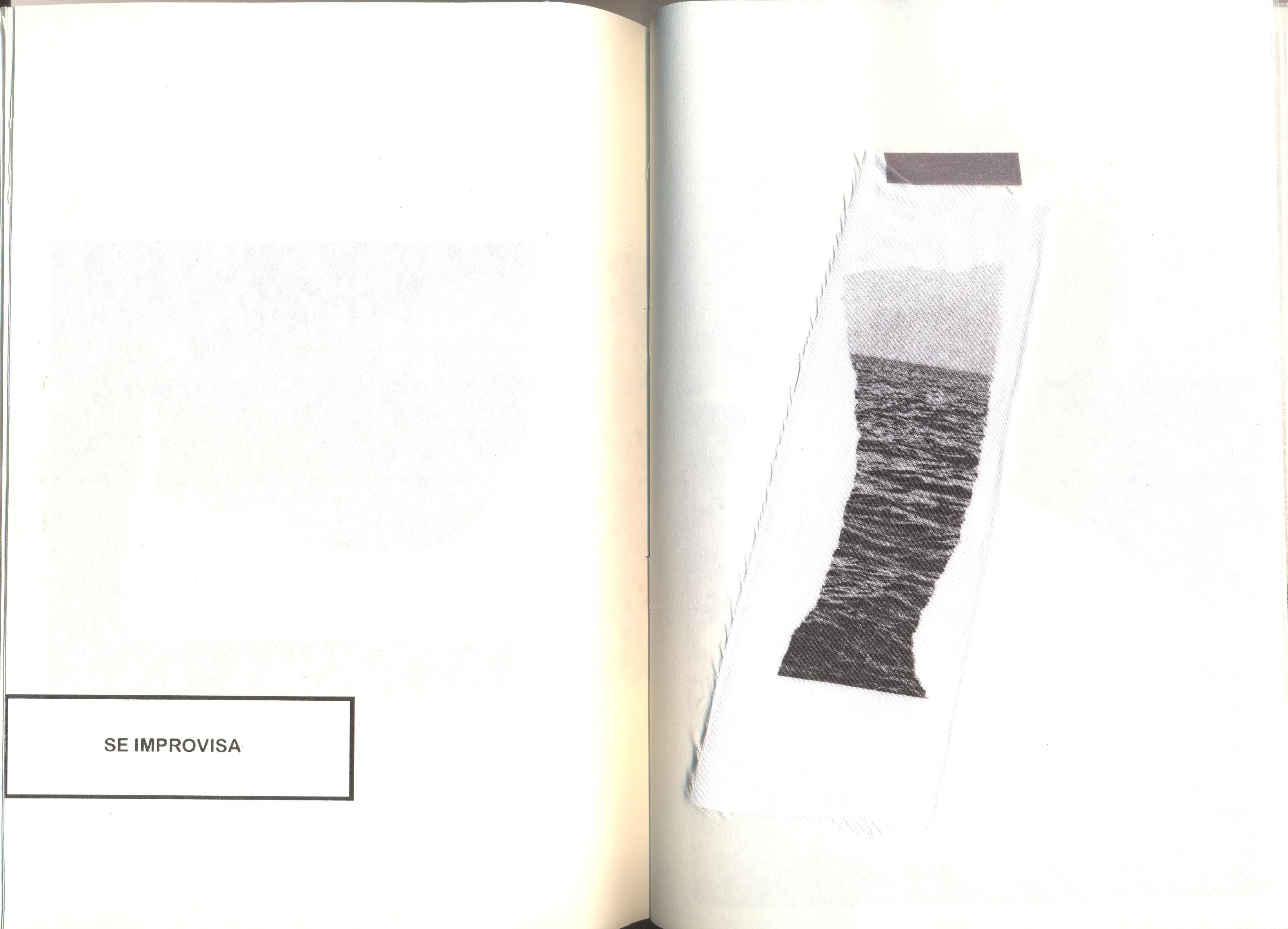 Imagem (4)