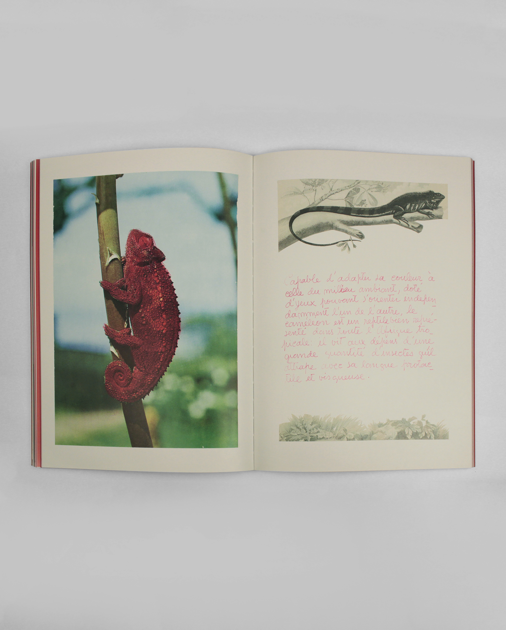 Un_Autre_Livre_Rouge_int