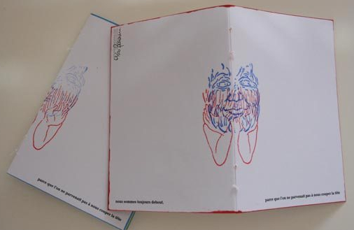 pic1
